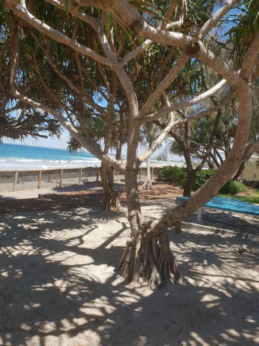 Pet Friendly & Spacious Two Bedroom Guest Unit Caloundra Extérieur photo